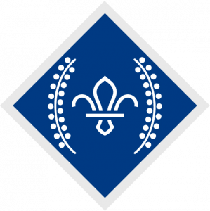 Image of the Chief Scout's Diamond Award