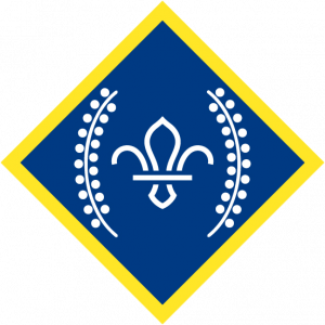 Image of the Chief Scout's Platinum Award